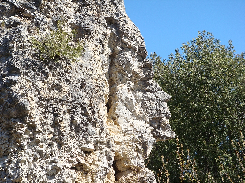 234 Memorial Day [2008 May 23].JPG - Scenes from Mackinac Island.